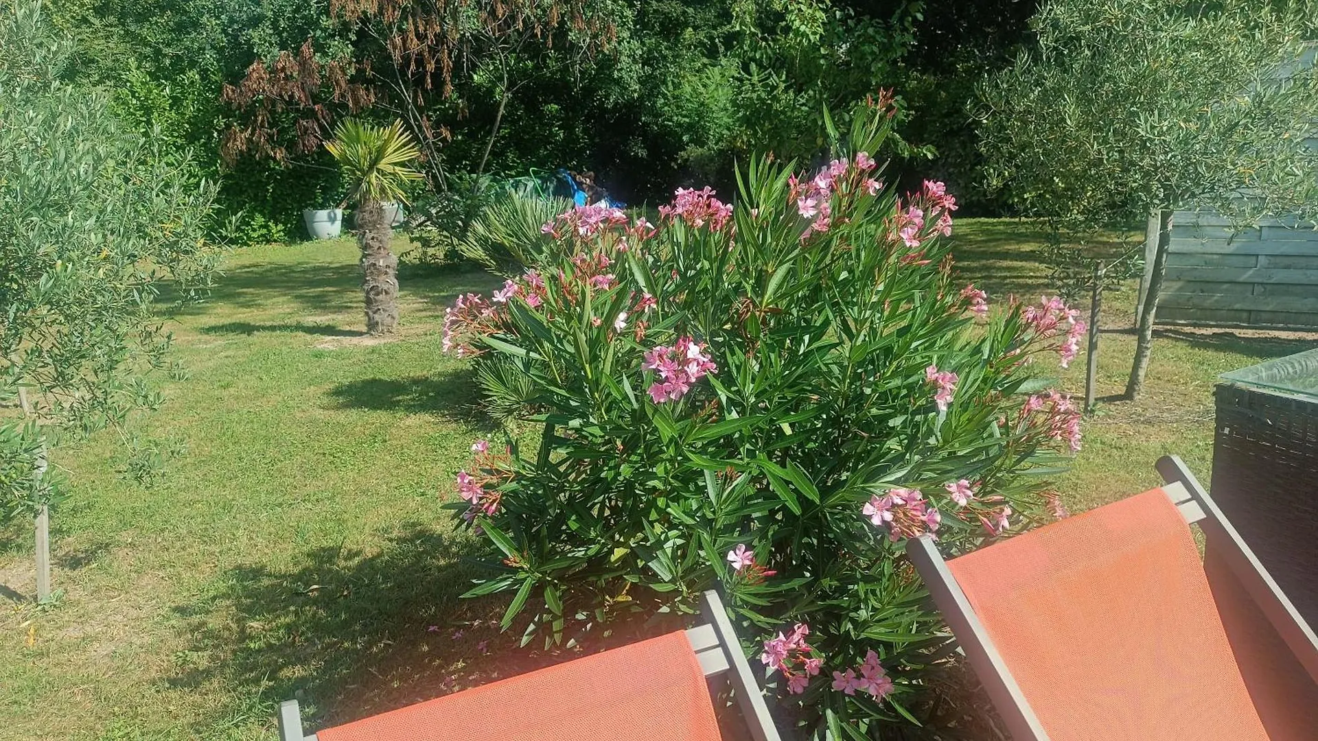Villa Provencale Avec Spa Piscine Privee Ris  France